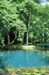 Les Fontaines Bleues - Parc et Jardin du Château de Beaulon