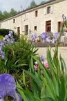 Aire naturelle Au Jardin près de l'Océan