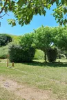 Camping du Fort de la Rade