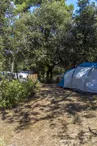 Flower Camping Monplaisir