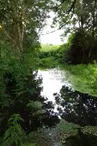 Bords de Gères