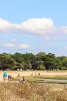 Plage aux coquillages (ou Anse du Saillant)