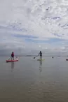 Kayak découverte 17: Balade nautique de 1h30 en stand up paddle sur le littoral charentais