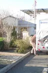Aire de Services (Vieille Forme)