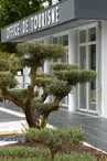 Office de Tourisme La Palmyre