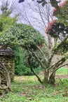 Jardin du Riollet