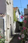 Janicot Didier - Appartement 1 - Maison Guy-Nadette