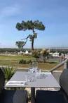 Le Golfy