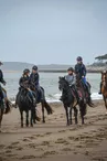 Le Cheval Autrement