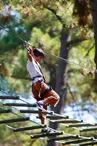 Parc Aventure La Palmyre