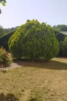 Gîte des Ecuries du Seillery