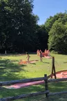 Mini Golf Nature Sensations Aventures