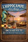 L'Hippocampe Chez Amy