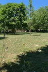 Arboretum