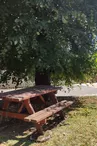 Aire de Pique-Nique de Tuzie