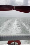 Sortie demi-journée en catamaran - Ocean Cruise