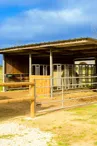 Haras de l'Ilatte