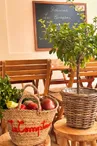Le Comptoir