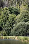Gorges du Chambon