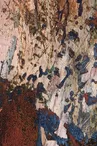 L'expo du Comptoir - Odile JACQUE