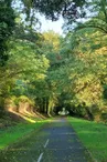 La forêt de la Double Saintongeaise